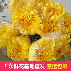 清明节祭文